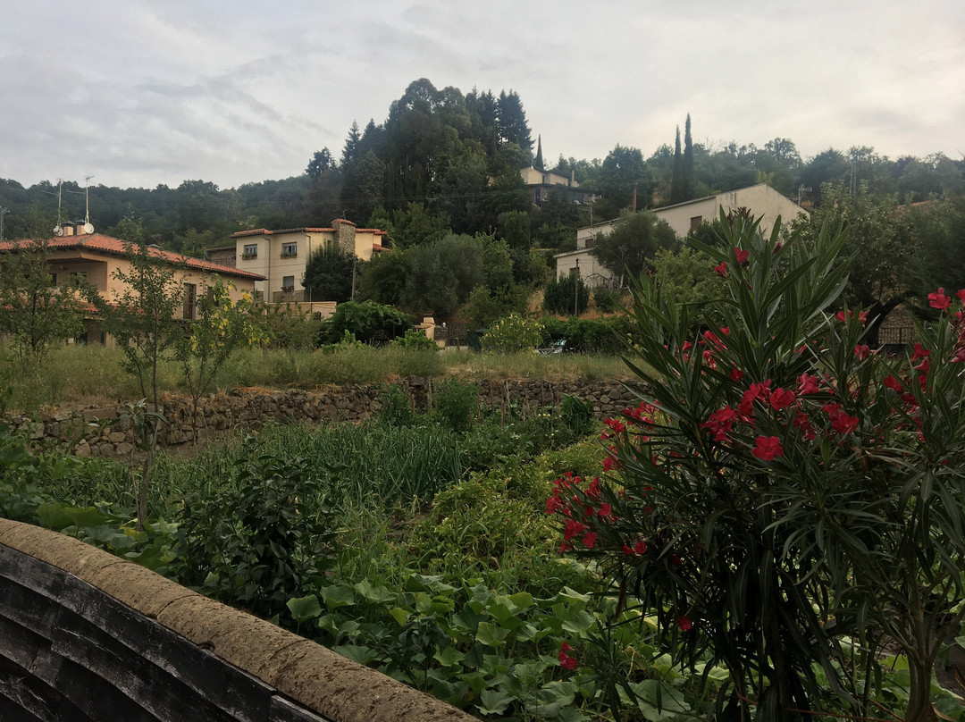 Abadía De San Martín主图