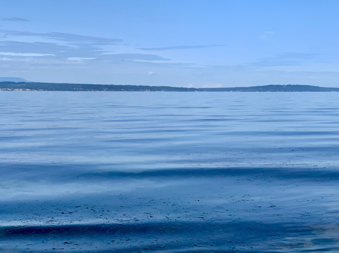 Carkeek Park-西雅图必去景点