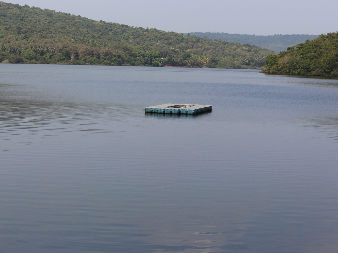 Dhamapur Lake景点图片