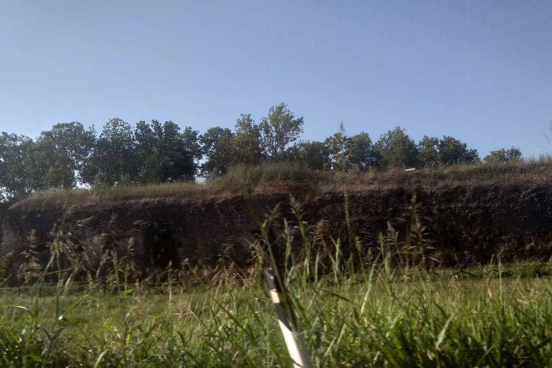 Mura farnesiane景点图片