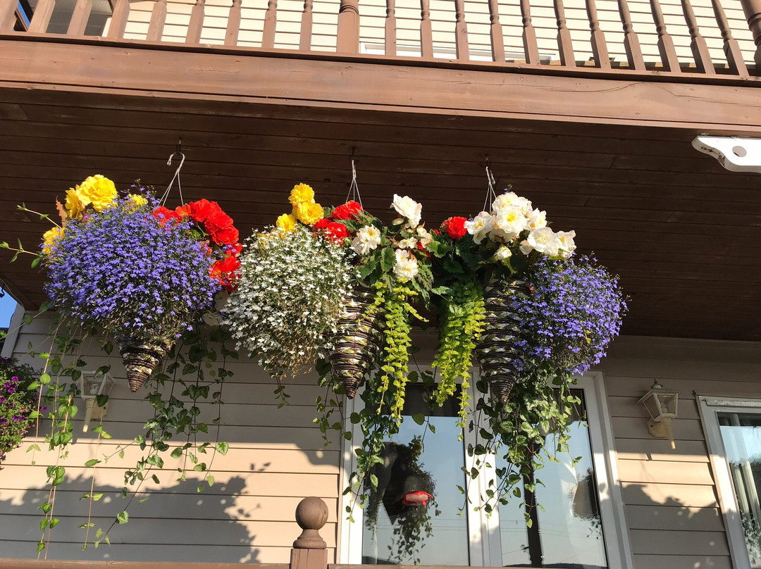 Kelly's View Motel主图