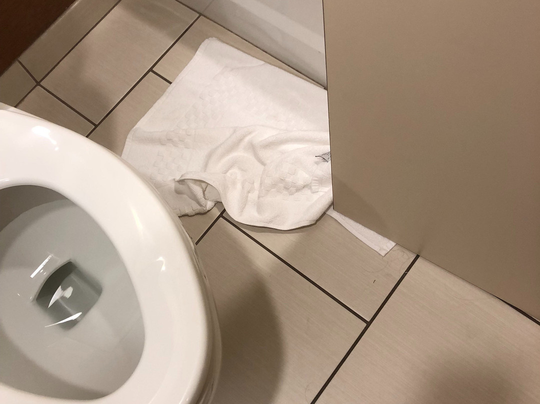 Fairfield by Marriott Inn & Suites Rochester West/Greece主图