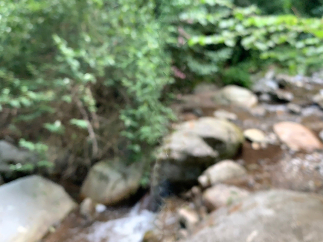 Cascate di Cittiglio-Cittiglio必去景点