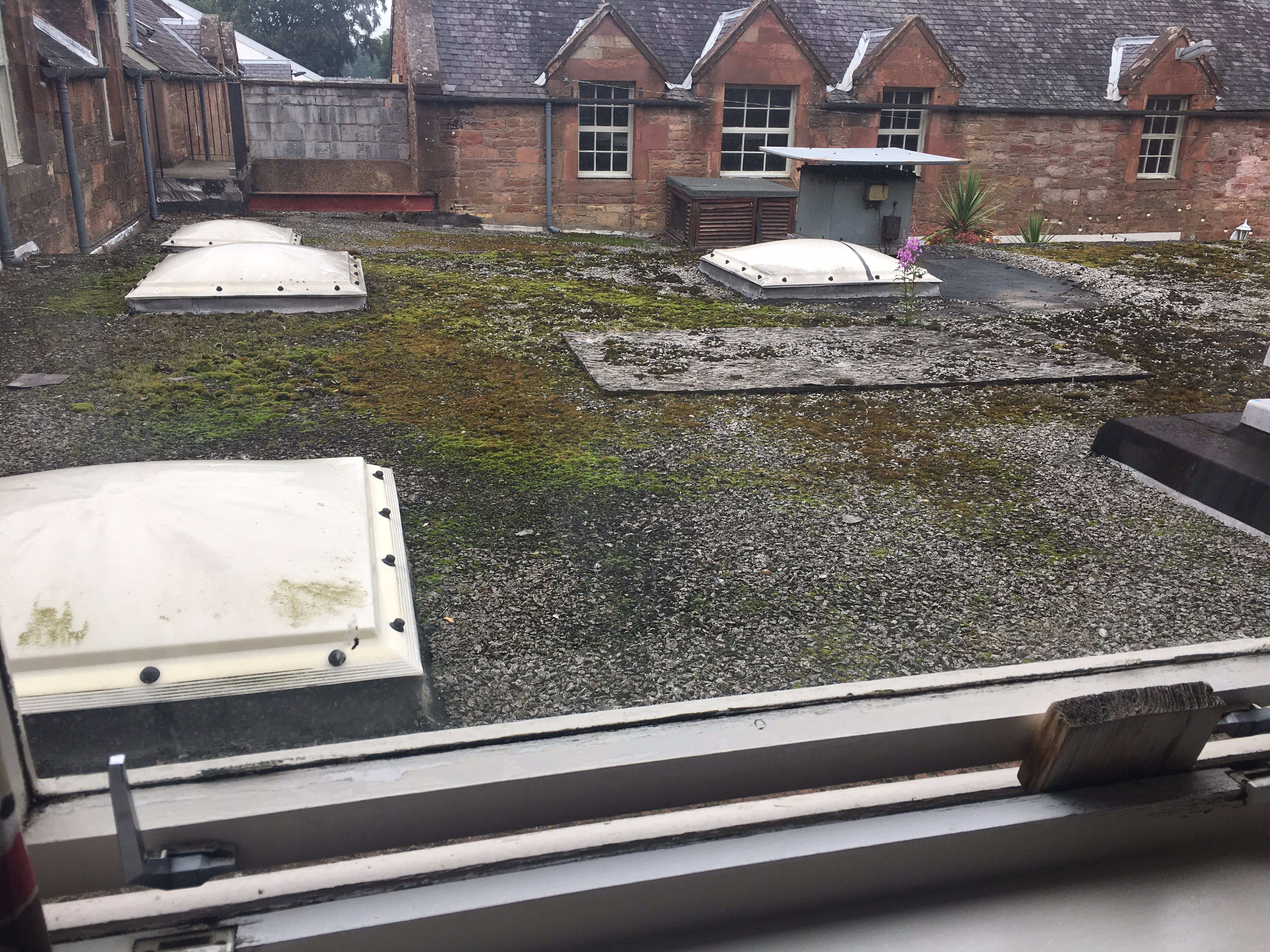 Buccleuch Arms Scottish Borders-酒店景观