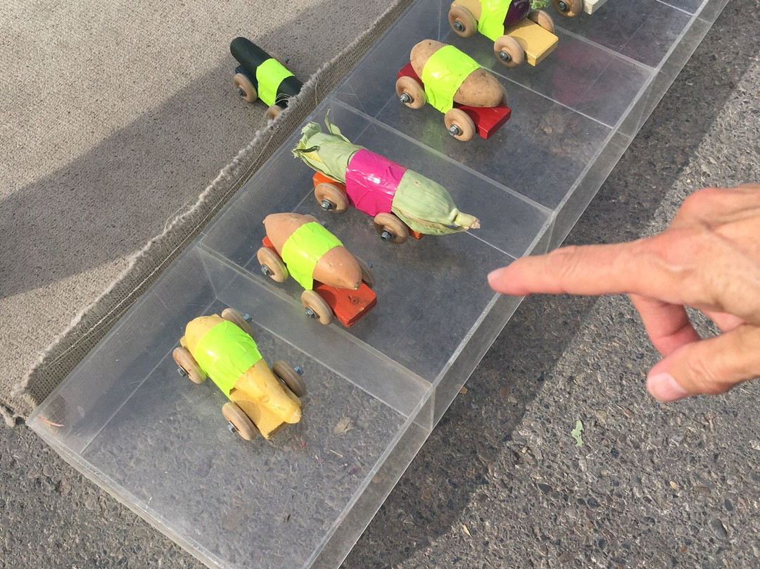 Montana ExpoPark-大瀑布市必去景点