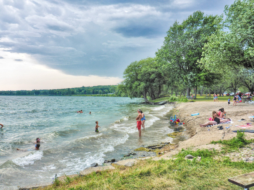 Brown’s Bay Day Park景点图片