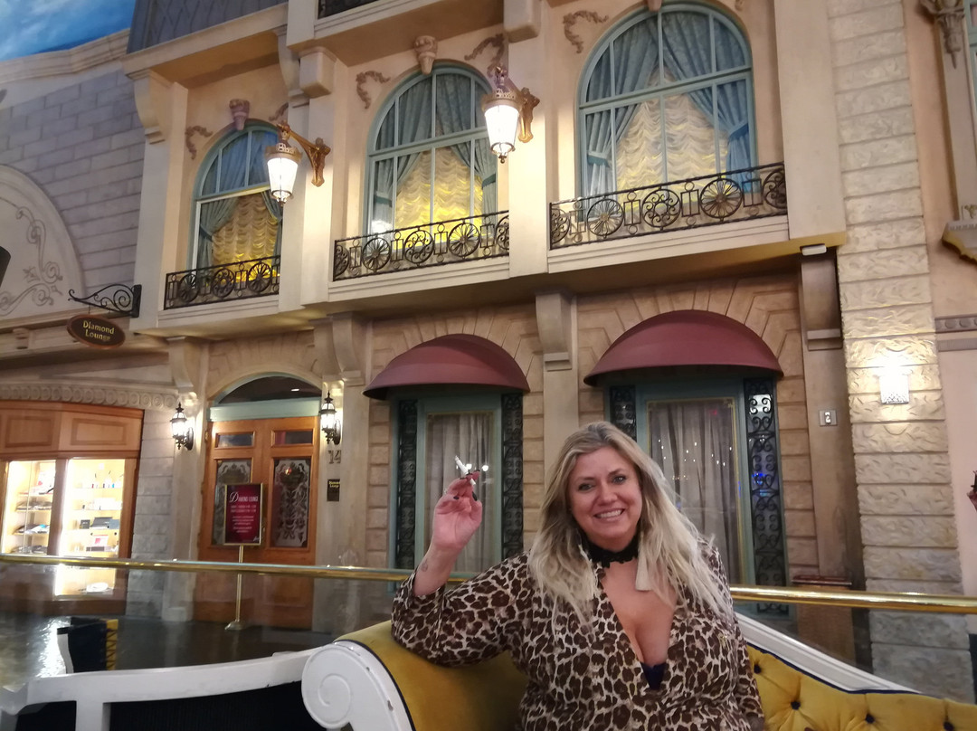 拉斯维加斯巴黎酒店主图