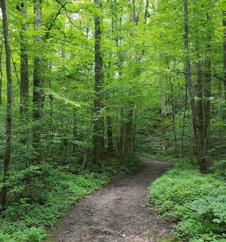 Tri State Peak Trail-Cumberland Gap必去景点