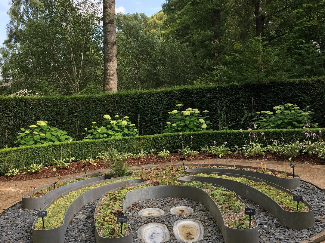 Explorers' Garden at Pitlochry Theatre-皮特洛赫里必去景点