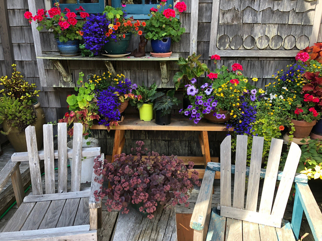 Sea to Summit Tours & Adventures-波特兰必去景点