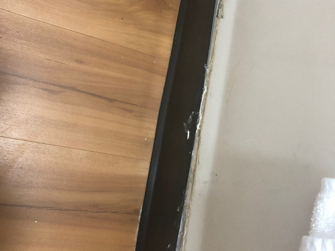 Super 8 by Wyndham Asheville/Biltmore主图