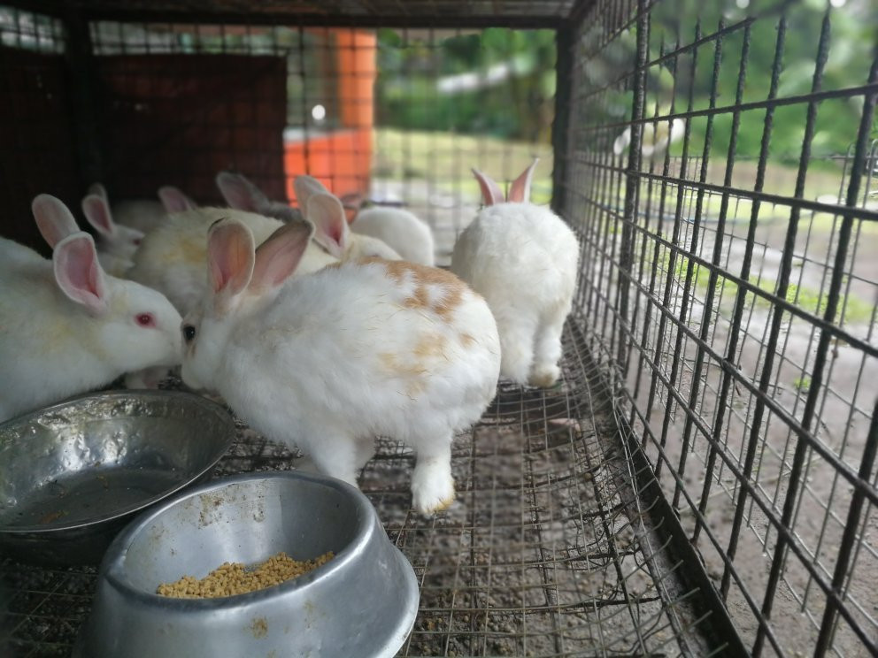 Paradizoo-Mendez必去景点