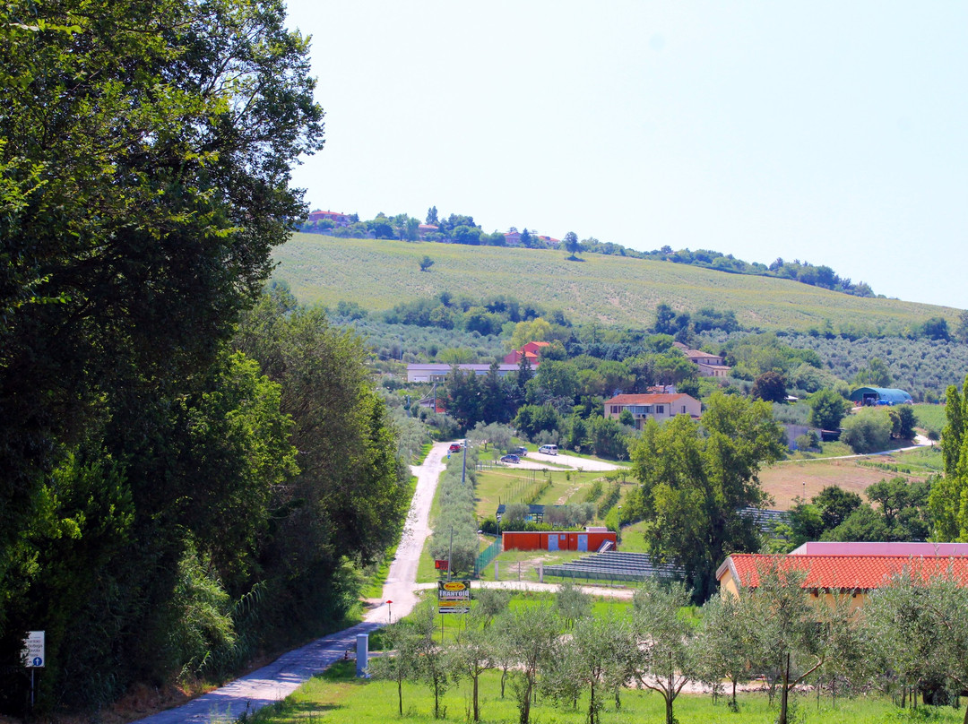 A3Passi Agriturismo tra gli Ulivi主图