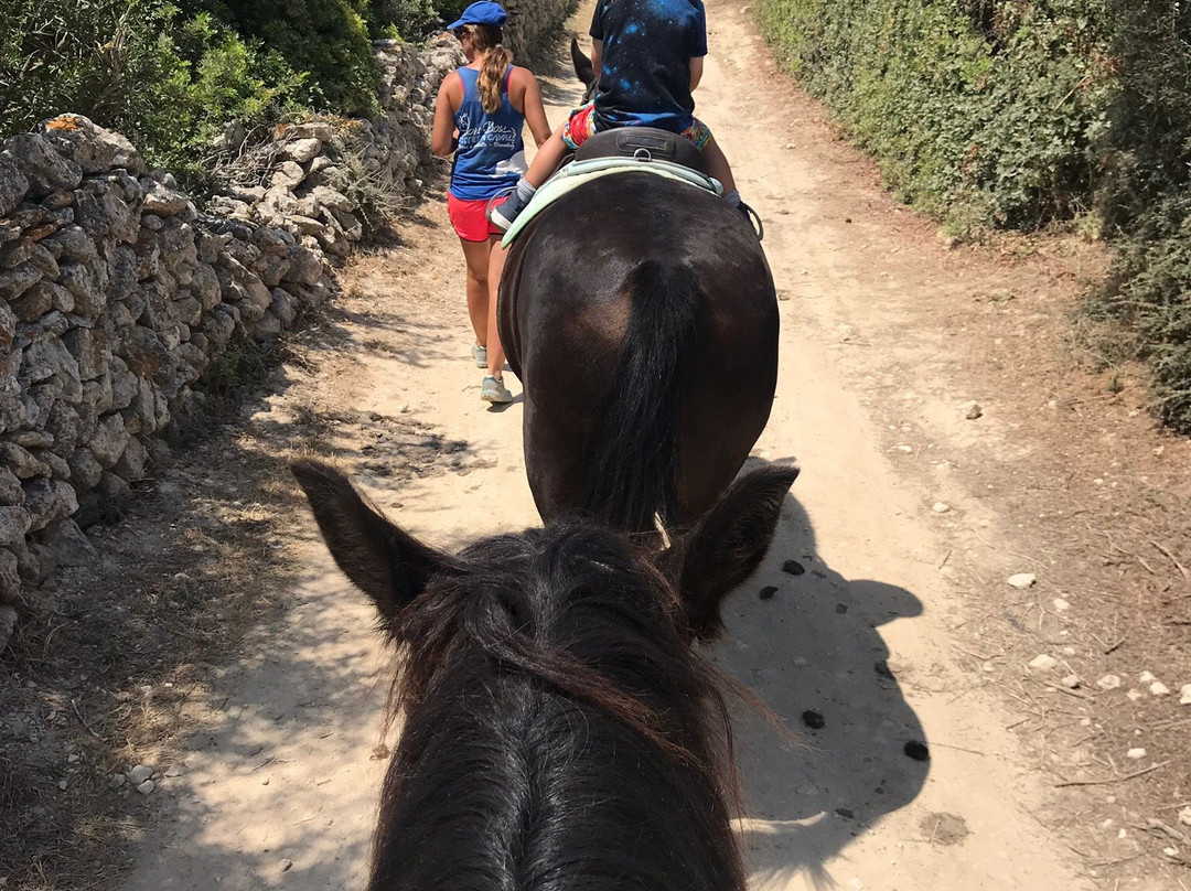 Son Bou Rutas A Caballo-阿拉约尔必去景点