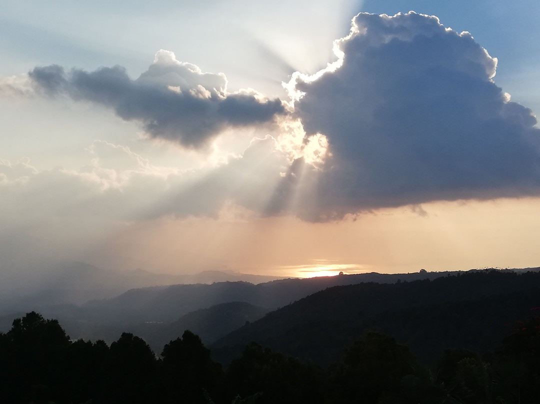 Adila Warung and Homestay主图