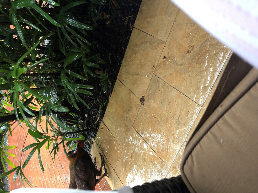 码头屋Spa度假酒店主图