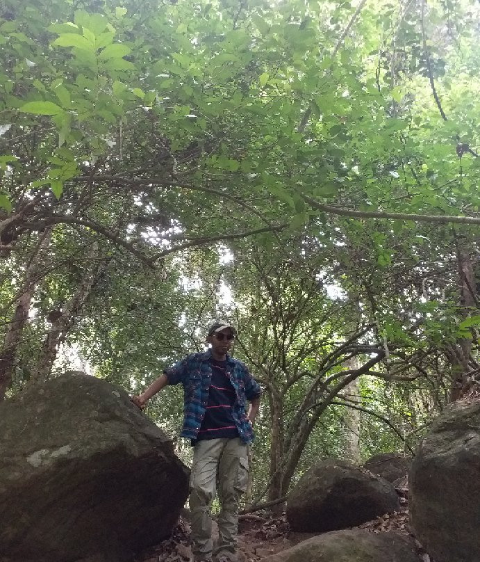 Kirigalpoththa Hike-Ohiya必去景点