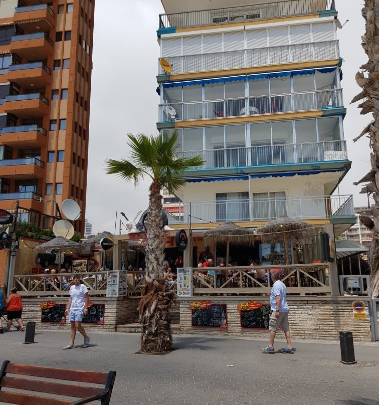 Sol Beach Bar - Benidorm-贝尼多姆必去景点