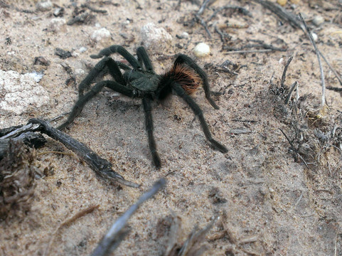 Origin at Rancho de San Juan-奥荷卡林特必去景点