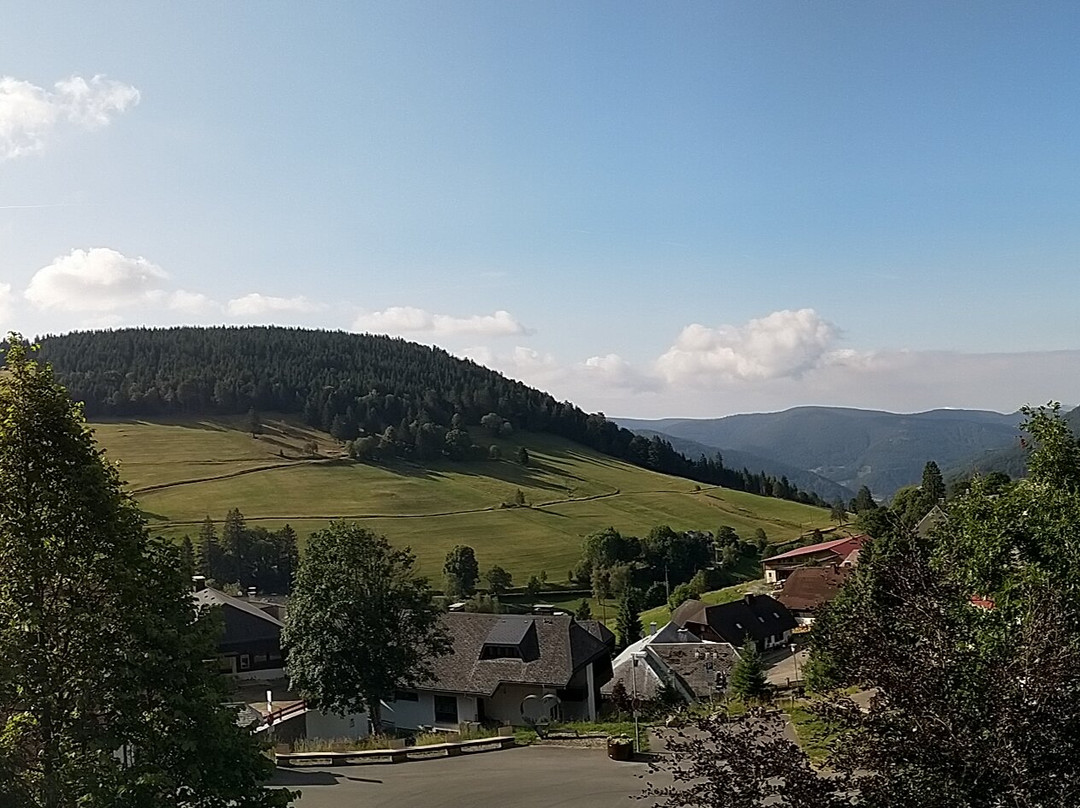 Hotel & Chalets Herrihof主图