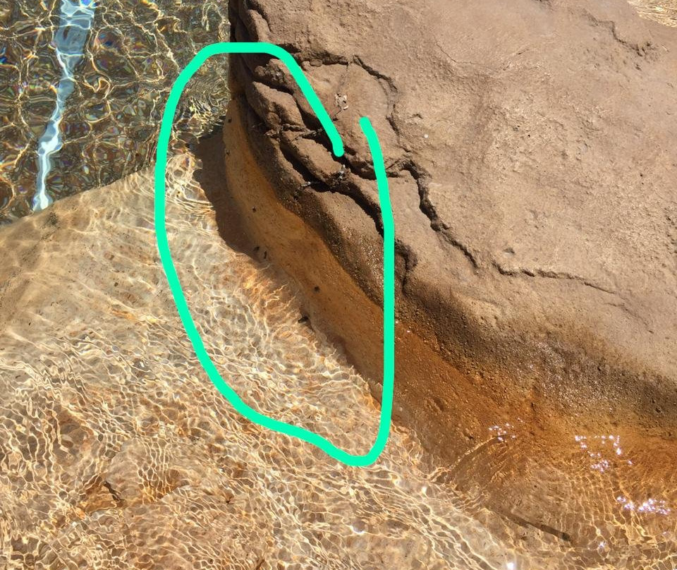 Stella Di Mare Grand Hotel主图