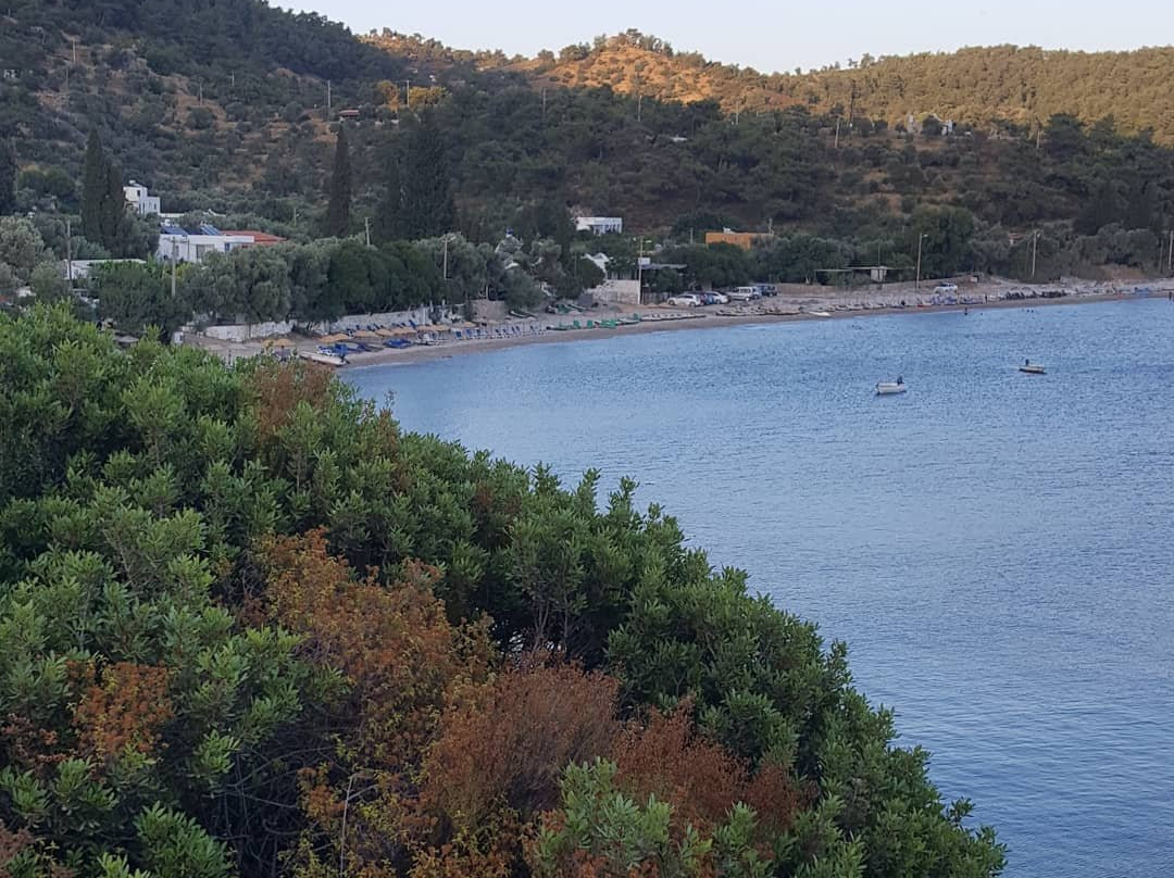 Ege Pansiyon & Restaurant主图