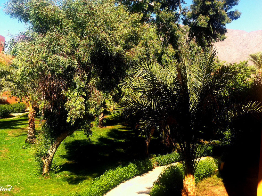 Strand Beach Resort Taba Heights主图