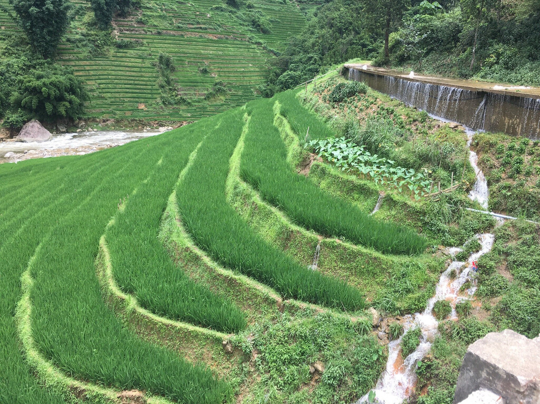 Sapa Tours Booking-河内必去景点