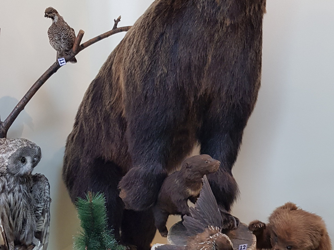 Bodaibinskiy Local History Museum V. F. Vereshhagina-Bodaibo必去景点