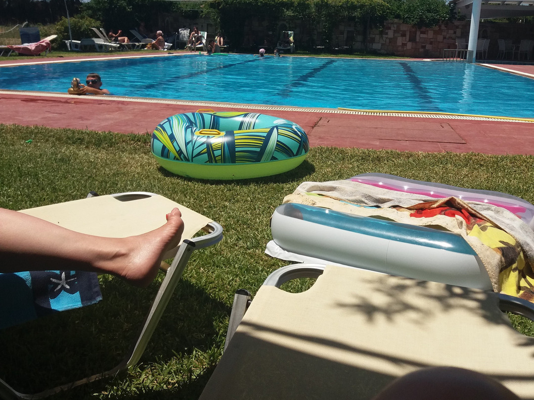 Hotel Palatino主图