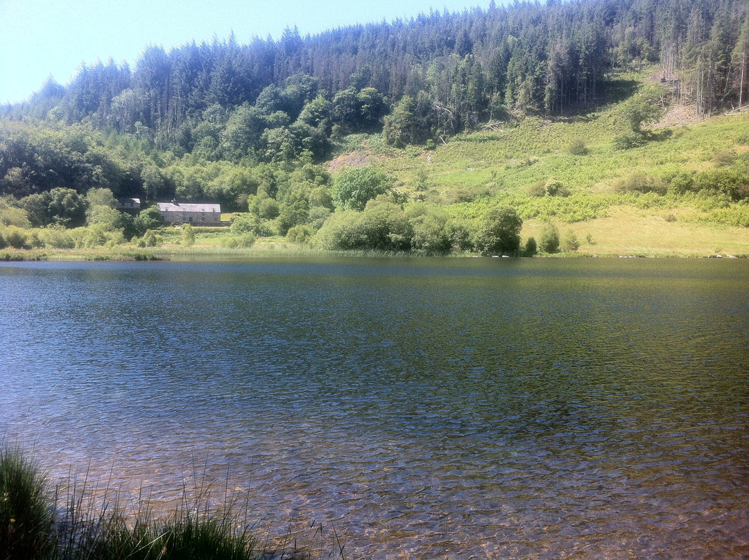 Llyn Geirionydd景点图片