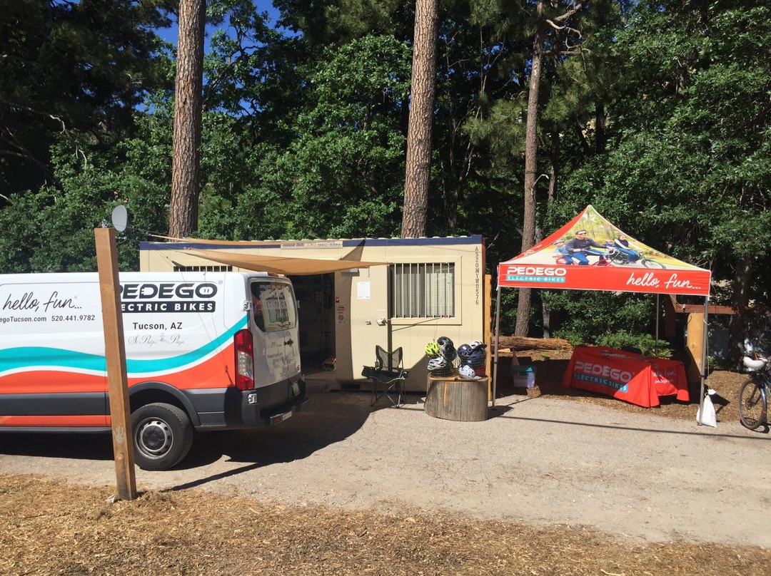 Pedego Electric Bikes Mt Lemmon-图森必去景点