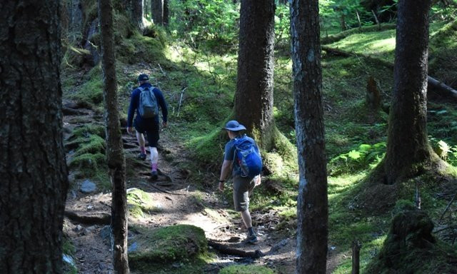 Bartlett Cove-Glacier Bay National Park and Preserve必去景点