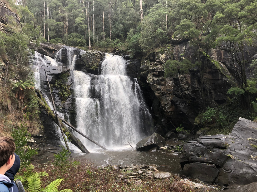 Stevensons Falls景点图片