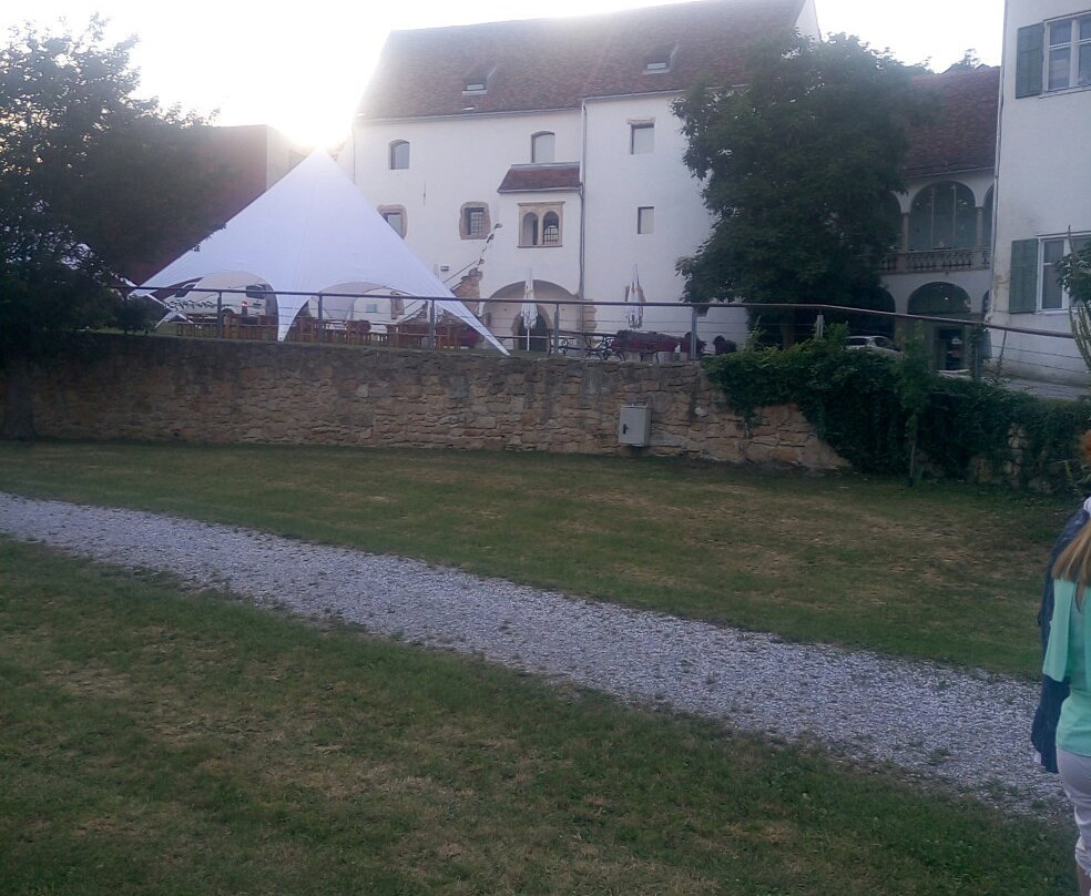 Schloss Hartberg景点图片