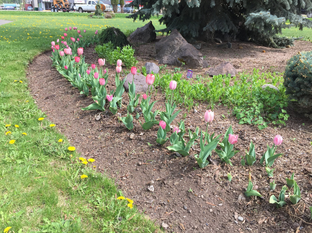 Steelhead Park-Houston必去景点