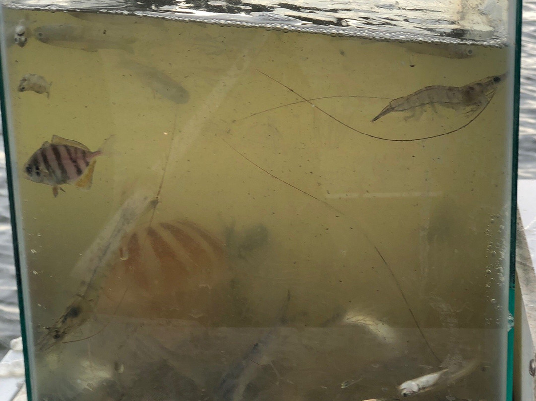 Sailaway Charters-橙色海湾必去景点