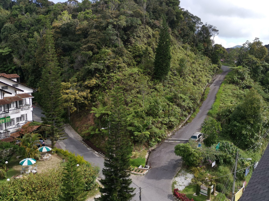 Avillion Cameron Highlands主图