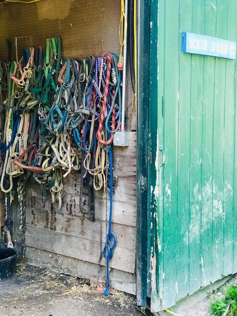 Catskill Animal Sanctuary主图