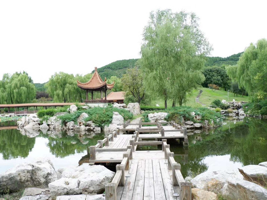 唐韵山庄主图