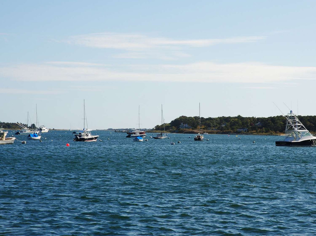 Edgar Hotel Martha's Vineyard, Ascend Hotel Collection主图