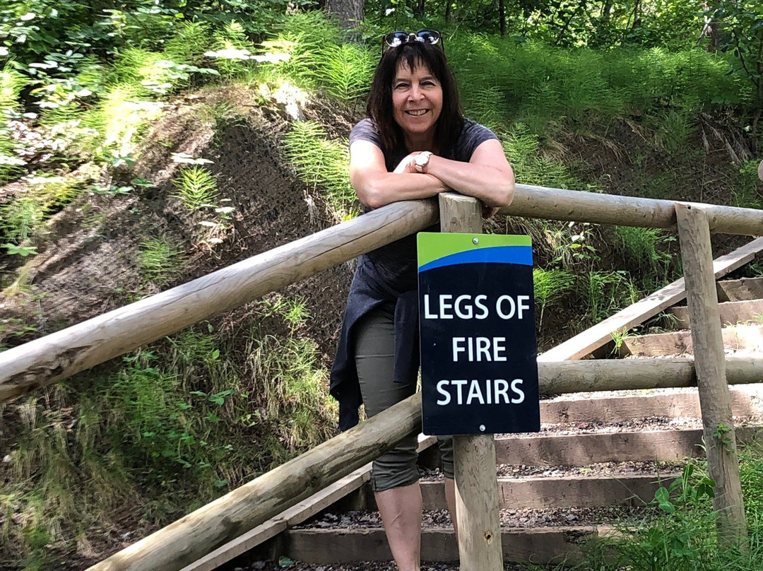 Devon Voyageur Park-德文郡必去景点