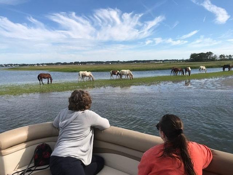 Assateague Tours-钦科蒂格岛必去景点