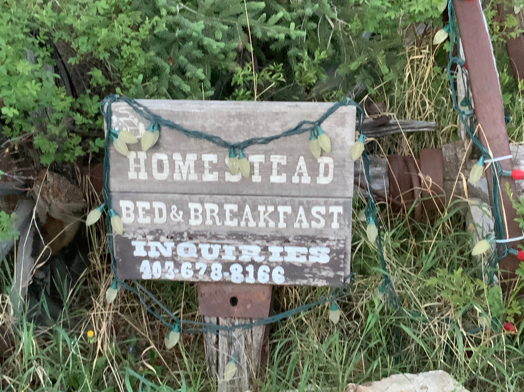 Homestead Bed & Breakfast主图