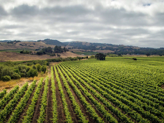 Sojourn Cellars-索诺玛必去景点