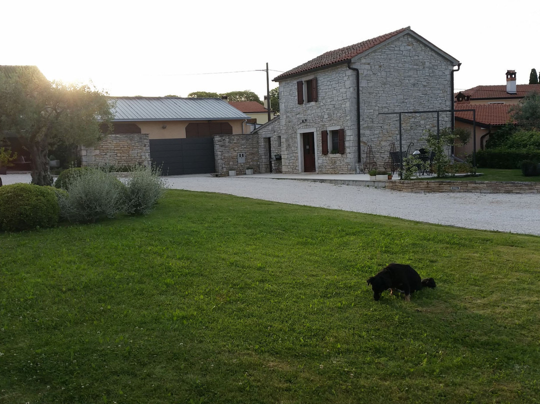 Relais And Wine San Tommaso Adults Only主图