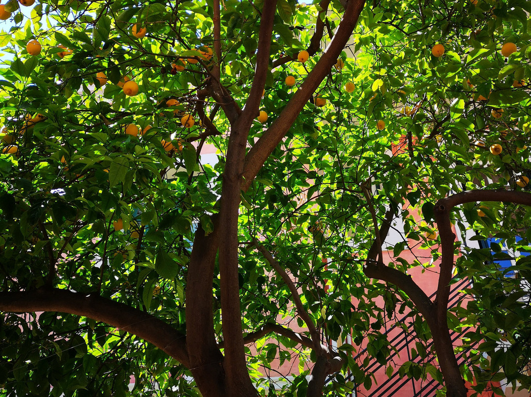 Nafsimedon Hotel主图