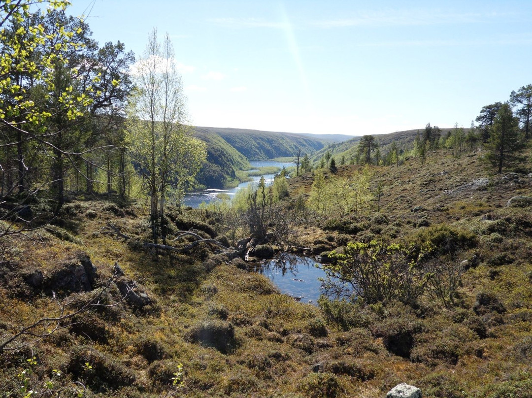 Kevo Strict Nature Reserve-Utsjoki必去景点