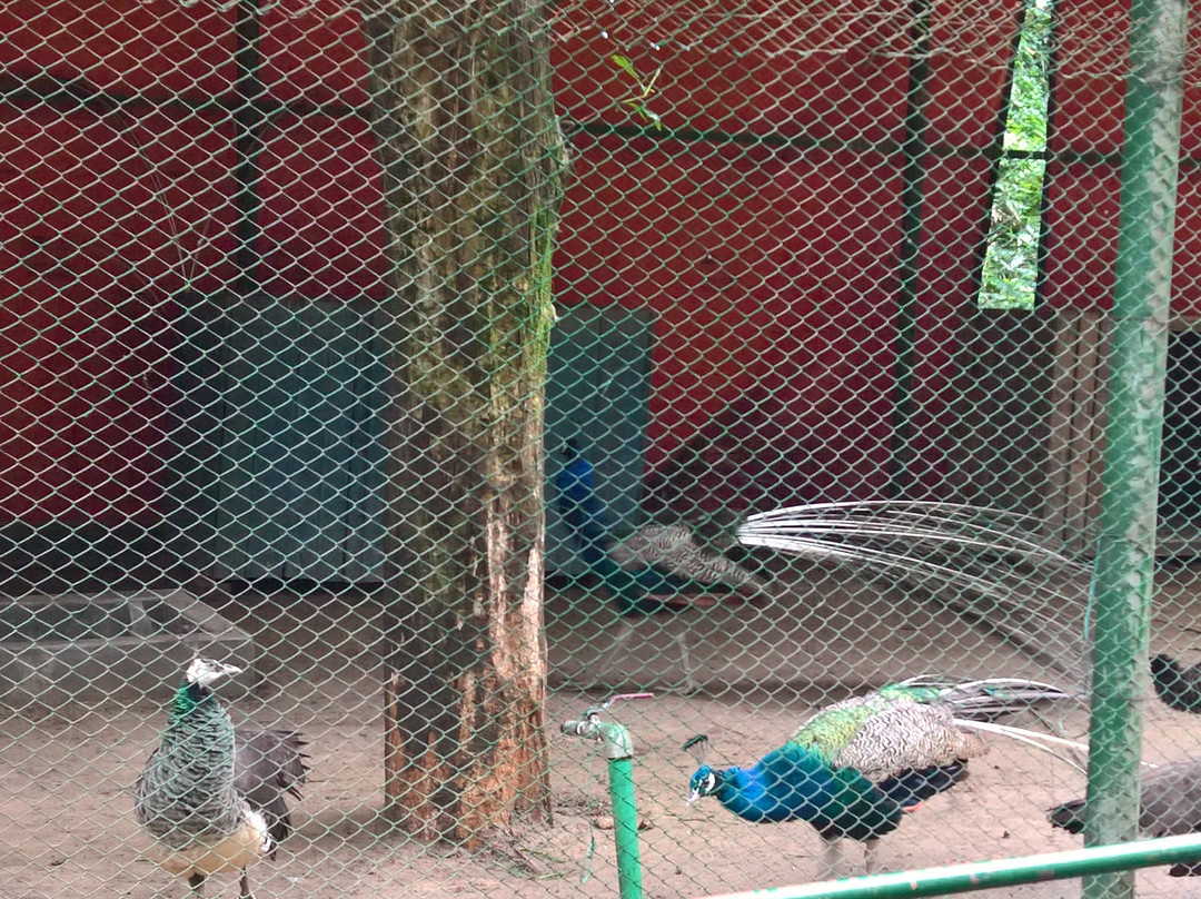Tilagor Eco Park-锡尔赫特必去景点