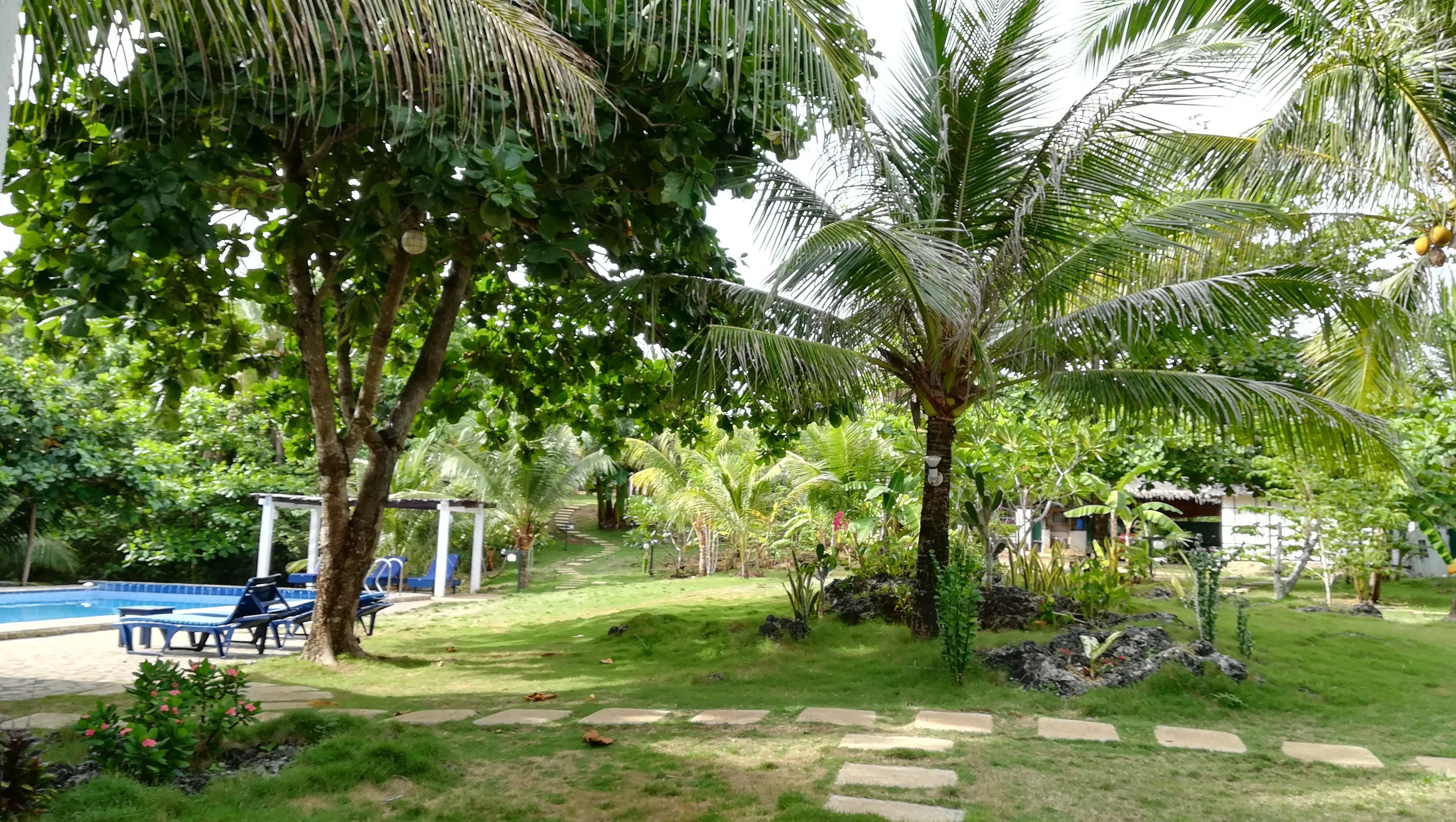 卡萨阿米翰-泳池